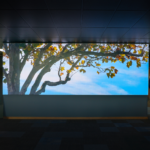 AV Integration | Commercial Audio Visual Solutions NZ