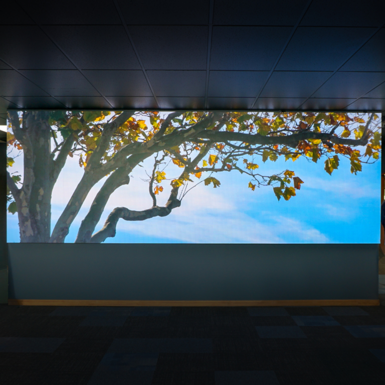 AV Integration | Commercial Audio Visual Solutions NZ